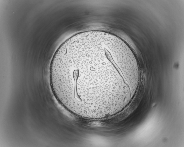 X0000099301439200805231332