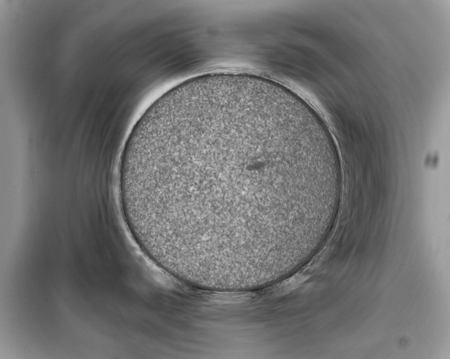 X0000099301440200805231332