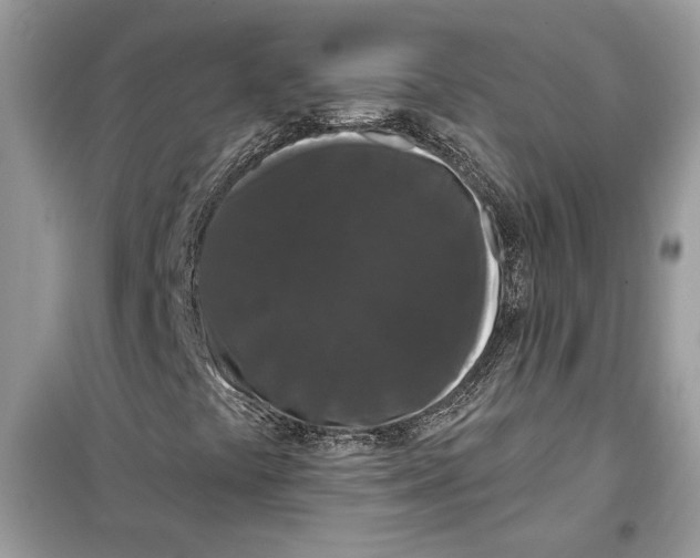 X0000099301441200805231332