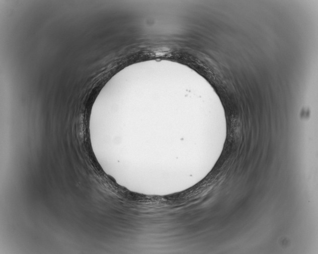 X0000099301442200805231332