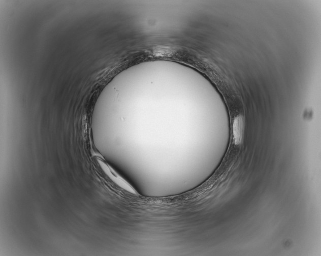 X0000099301443200805231332