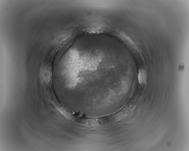 X0000099301444200805231332