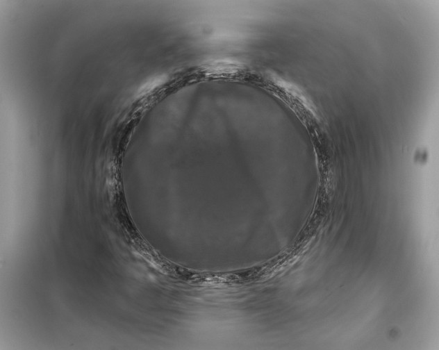 X0000099301445200805231332