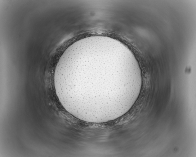 X0000099301446200805231332