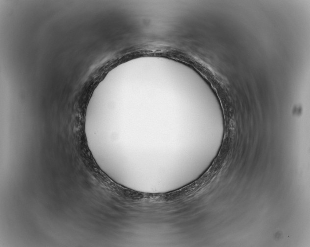 X0000099301447200805231332