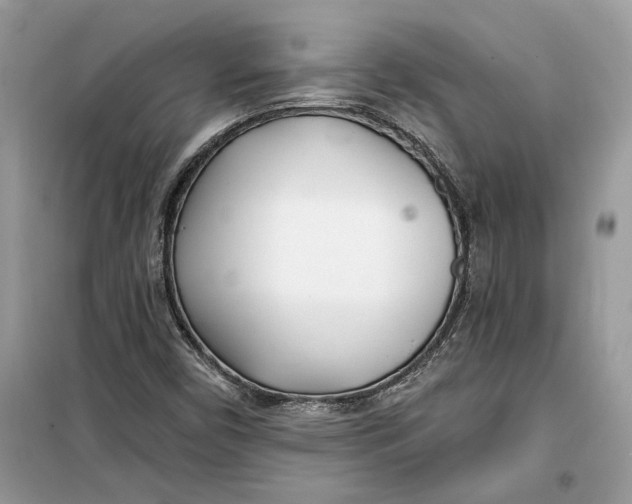 X0000099301450200805231332