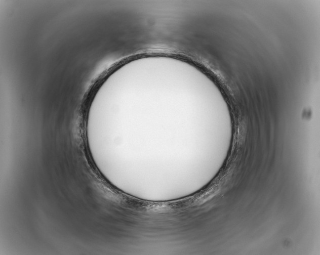 X0000099301454200805231331