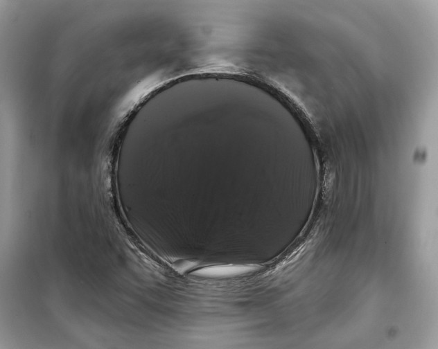 X0000099301455200805231331