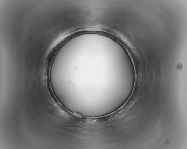 X0000099301456200805231331