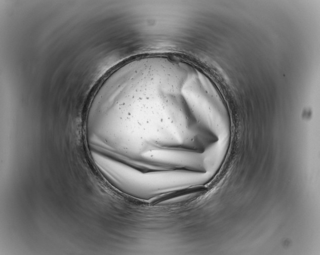 X0000099301457200805231331