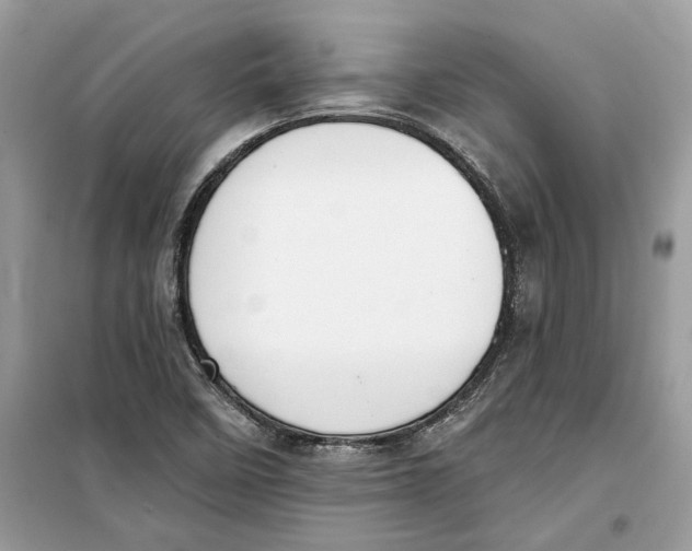 X0000099301458200805231331