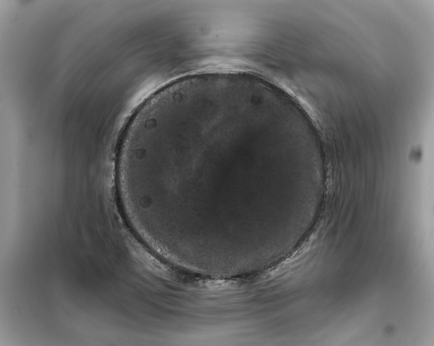 X0000099301459200805231331