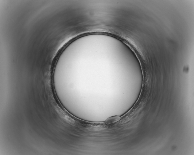 X0000099301460200805231331