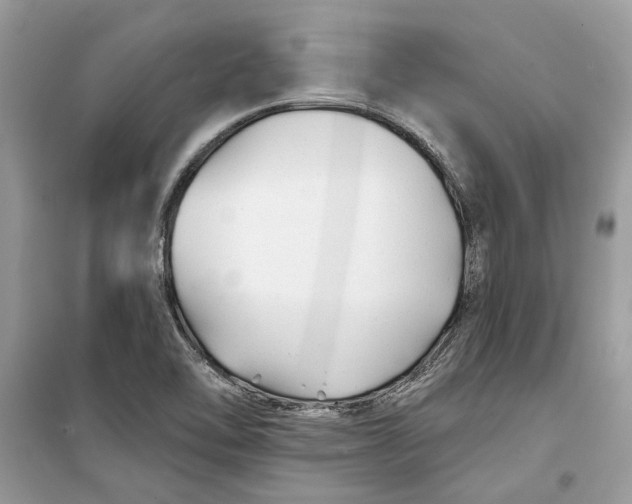 X0000099301462200805231331