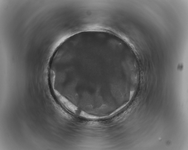 X0000099301463200805231331