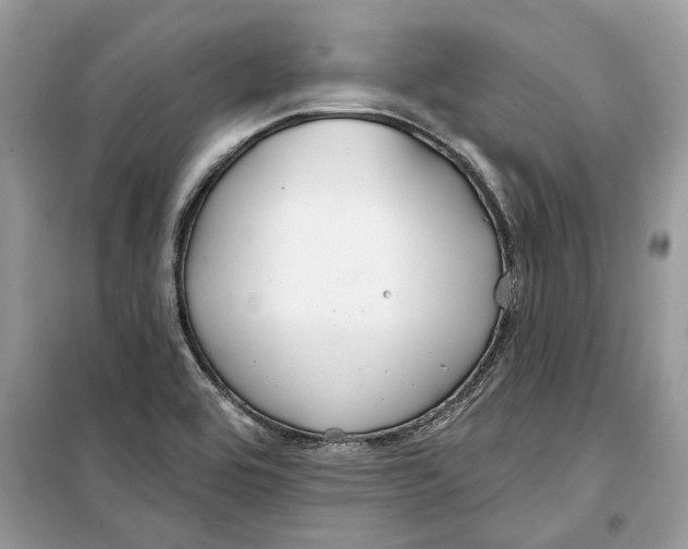 X0000099301464200805231331