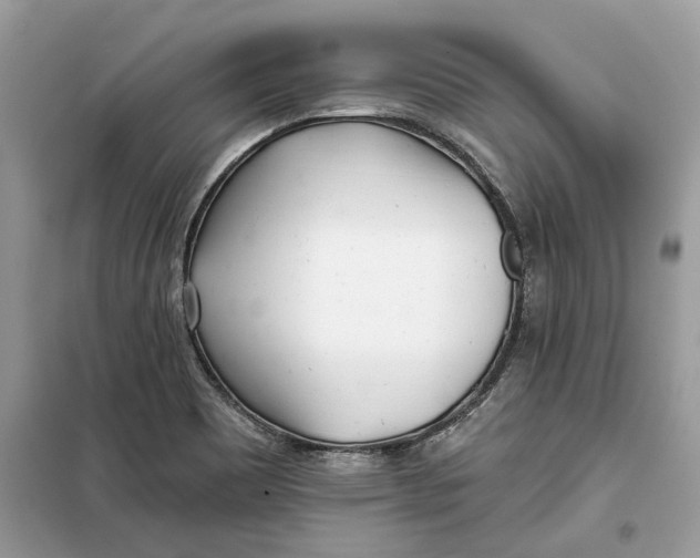 X0000099301465200805231331