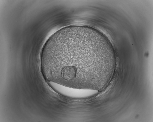 X0000099301467200805231331