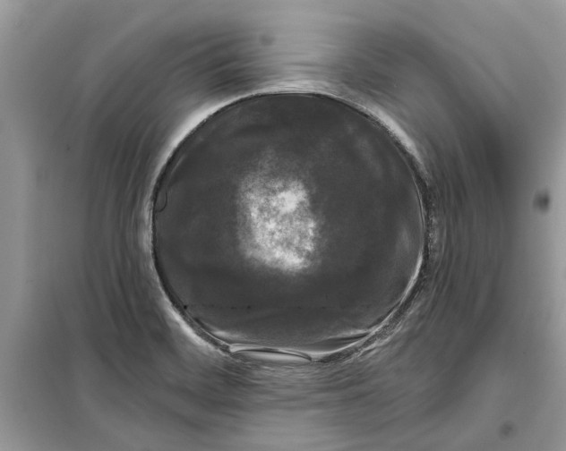 X0000099301468200805231331