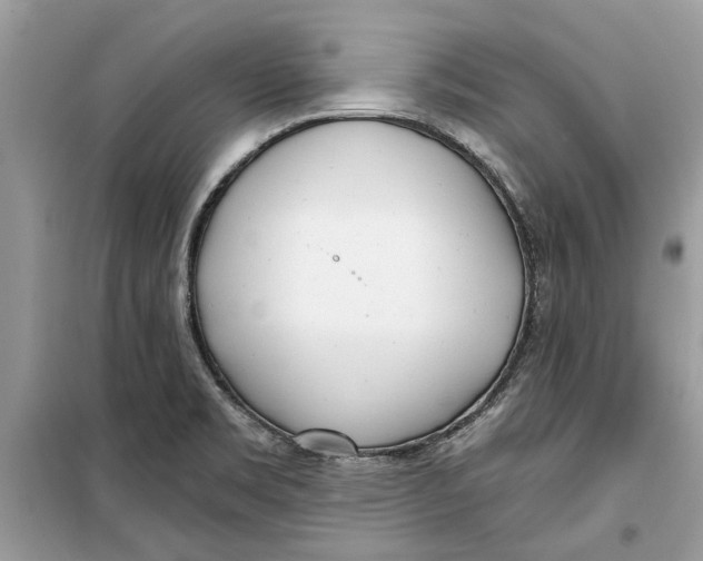 X0000099301469200805231331