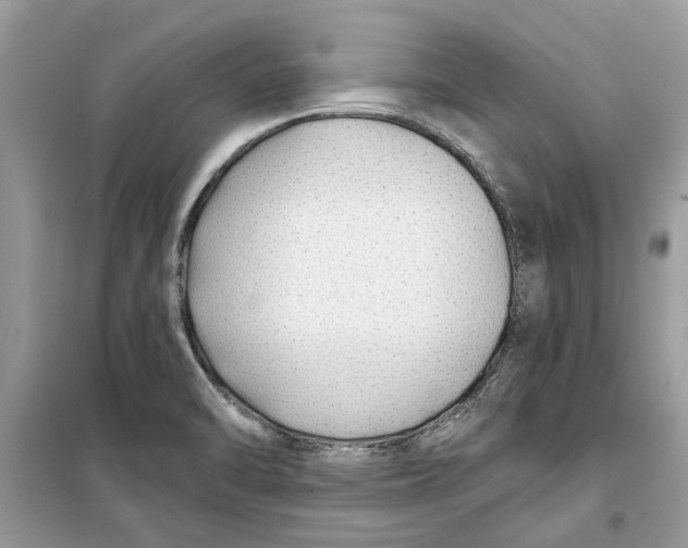 X0000099301470200805231331