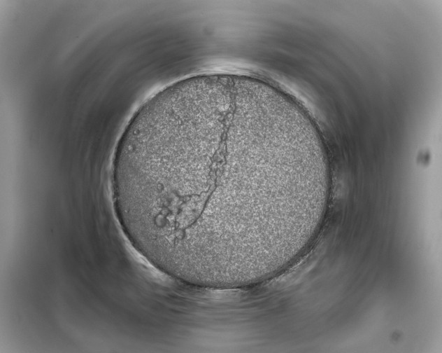 X0000099301471200805231331