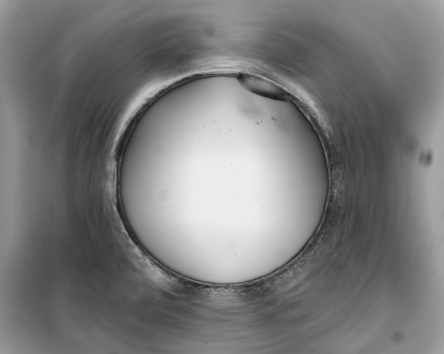 X0000099301472200805231331