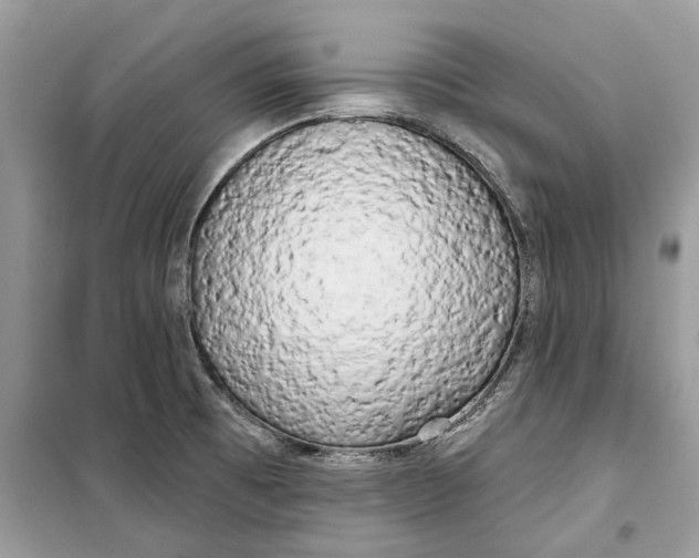 X0000099301473200805231331