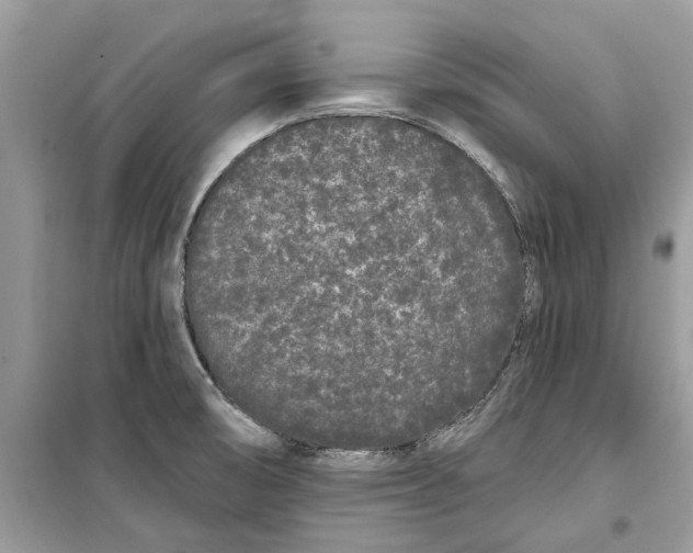 X0000099301474200805231331