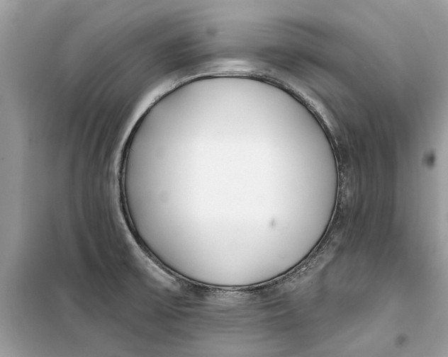 X0000099301475200805231331