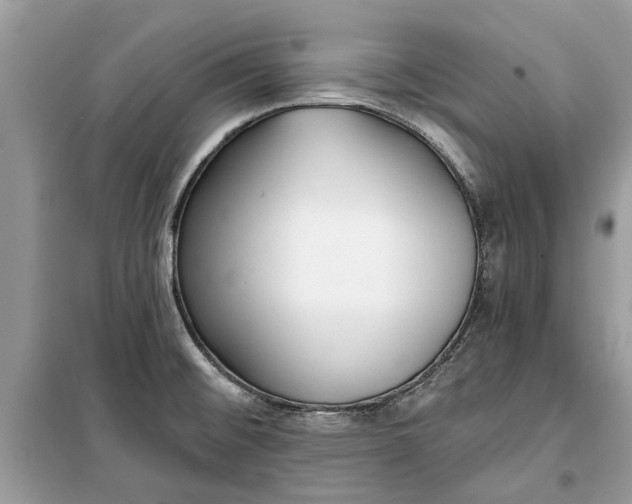 X0000099301476200805231331