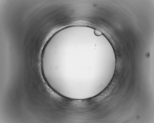 X0000099301478200805231331