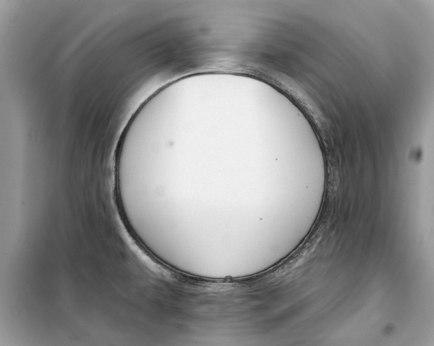 X0000099301479200805231331