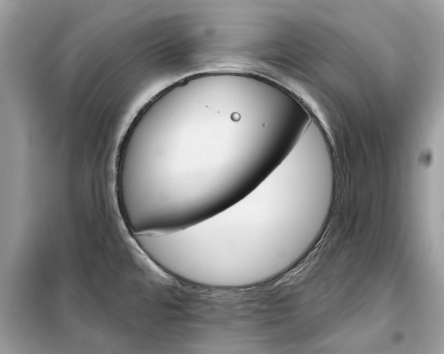 X0000099301480200805231331