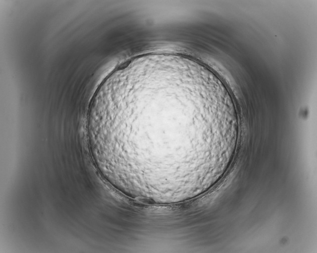 X0000099301481200805231331