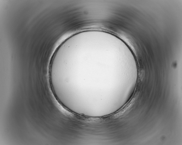 X0000099301482200805231331