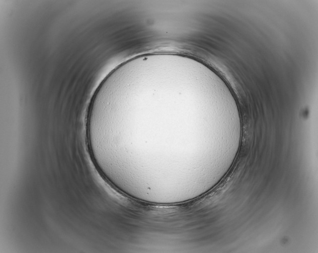 X0000099301483200805231331