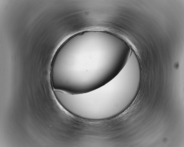 X0000099301484200805231331