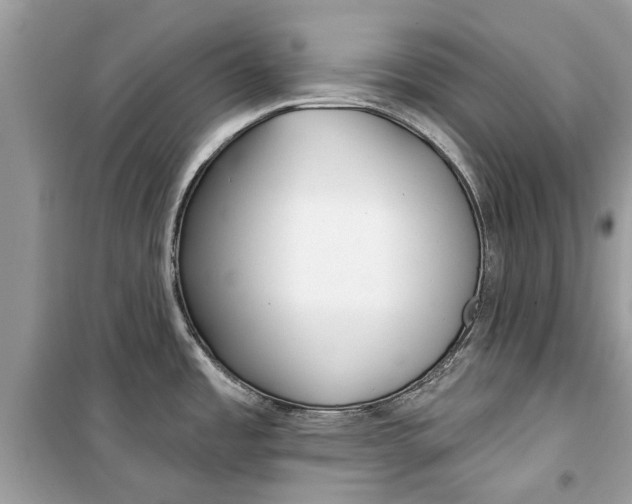 X0000099301485200805231331