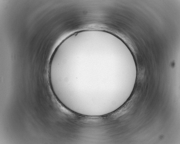 X0000099301486200805231331