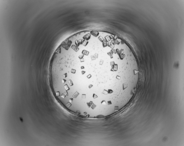 X0000099301487200805231331