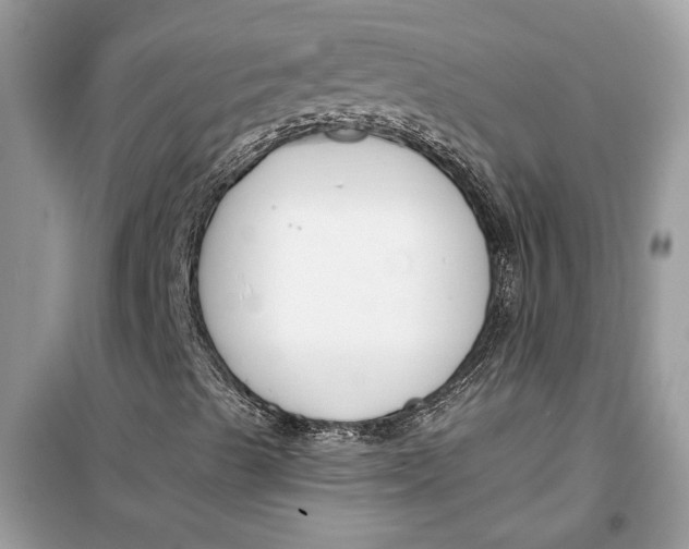 X0000099301489200805231330