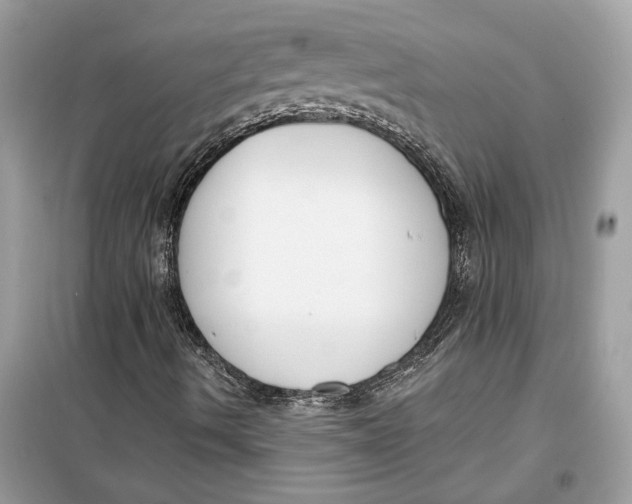 X0000099301490200805231330