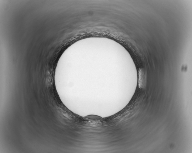 X0000099301491200805231330