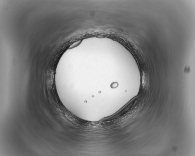 X0000099301492200805231330