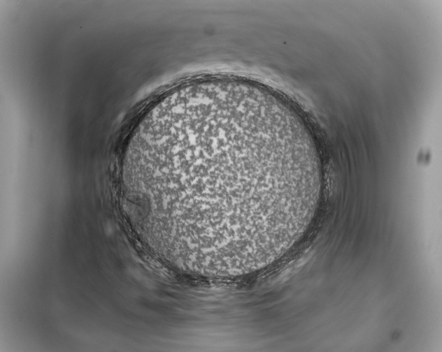 X0000099301494200805231330