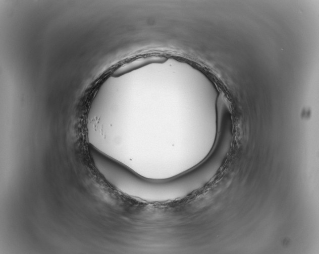 X0000099301496200805231330