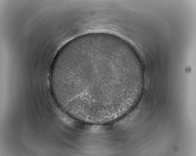 X0000099301497200805231331