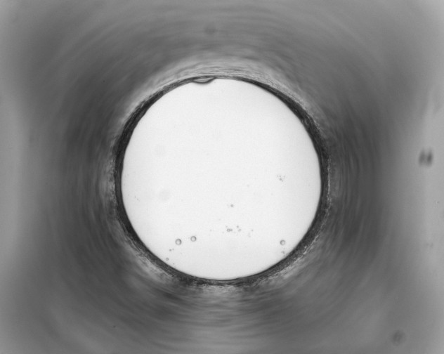 X0000099301498200805231331