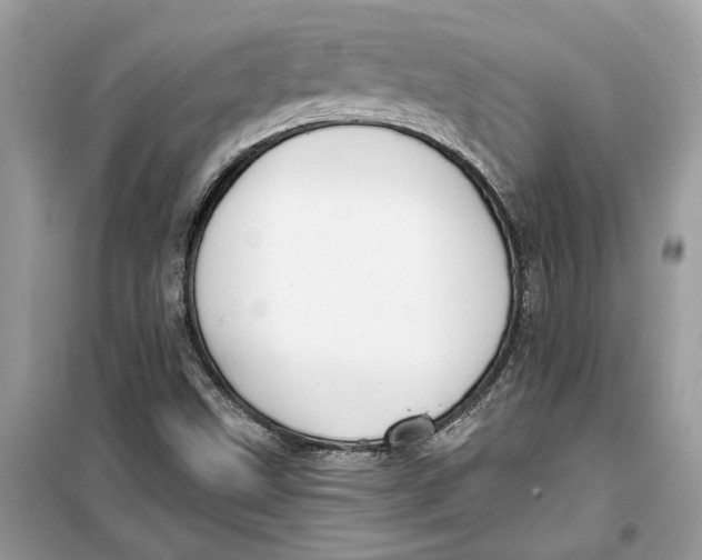 X0000099301499200805231331